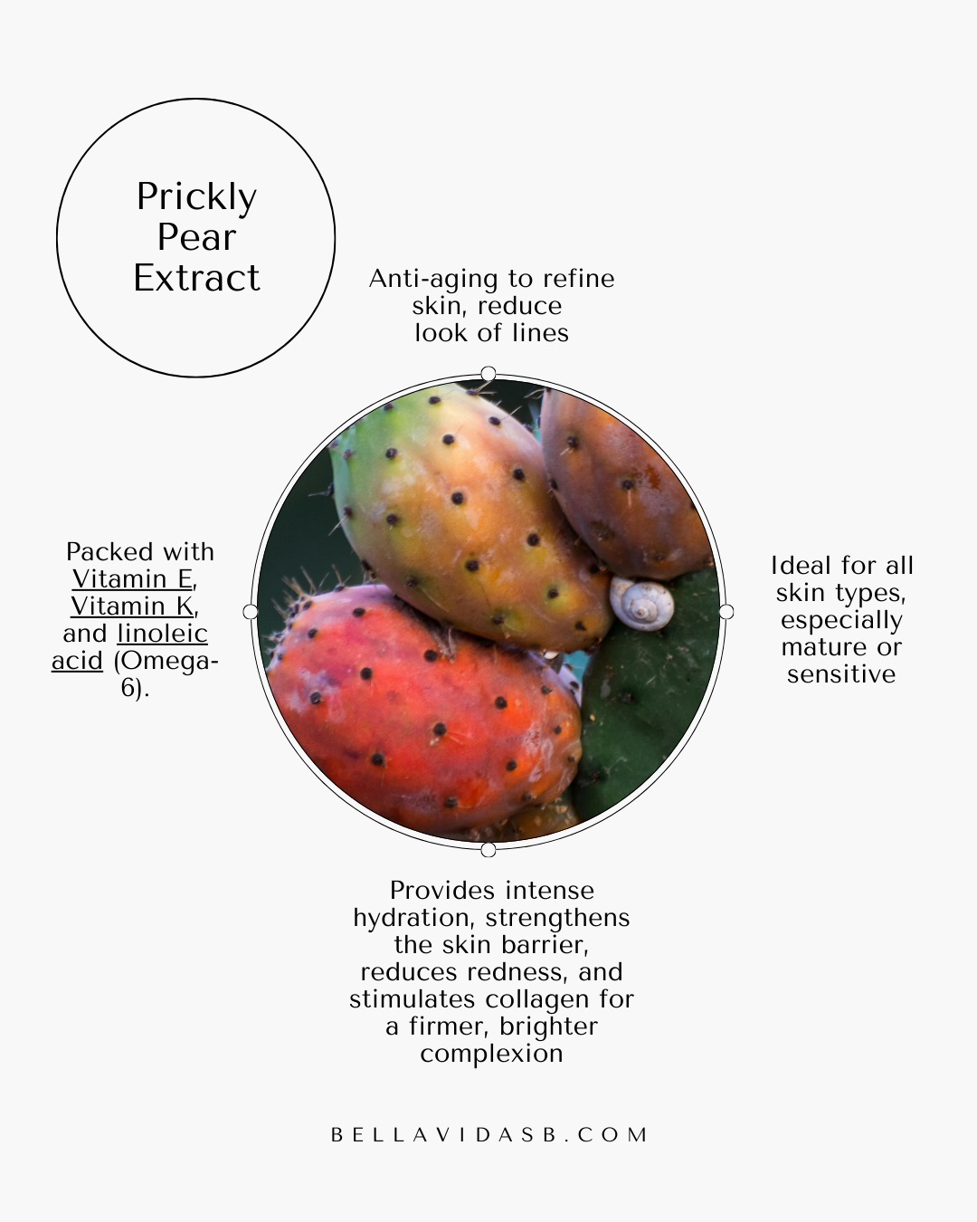 Dolce Cherry Reviving Cleanser